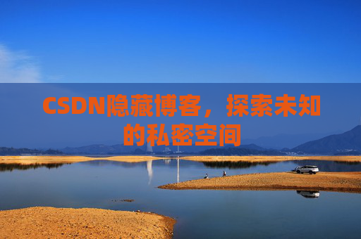 CSDN隐藏博客，探索未知的私密空间